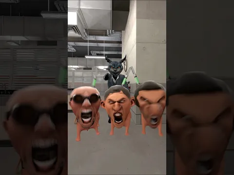 Bow Wow Dog 25