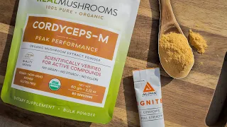 CORDYCEPS 101 ????| Everything You Need To Know