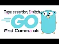 Type assertion comma ok syntax and switch Go language
