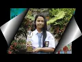 Download Lagu Sma santa maria Kabanjahe