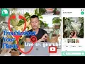 Download Lagu Plant TROUBLESHOOTING - Live! Submit Your Troubled Plants on Plantingo