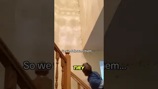 They found their house full of spiders 😨