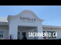 Estelle Bakery Patisserie - Sacramento CA 24