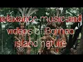 Download Lagu Relaxation music and videos of Borneo island nature. #borneo #kalimantan #indonesia
