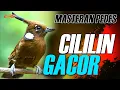 Download Lagu MASTERAN MEWAH 3C ( CILILIN - CIBLEK - CUNGKO )