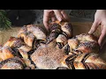 Sourdough Sparrow - Interactive Sourdough Chocolate Star Bread Masterclass