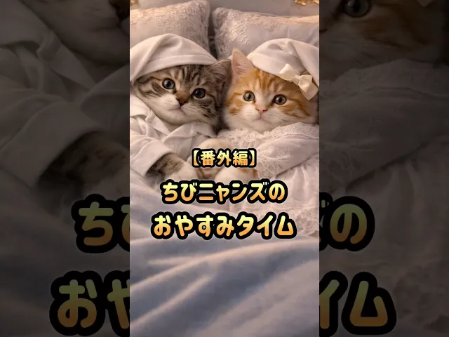 番外編 ちびニャンズのおやすみタイム