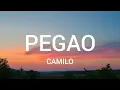 Camilo - Pegao (Letra/Lyrics)