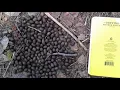 How to identify different types of scat in NB