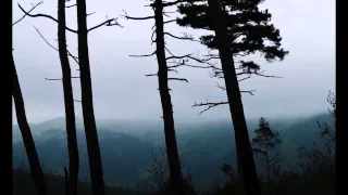 سورة البقره كامله ماهر المعيقلي إصدار جديد HD  سورة البقره كامله ماهر المعيقلي إصدار جديد HD