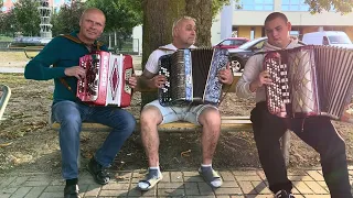 Мелодія пісні Ой не світи місяченьку 