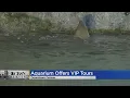 Reopening Colorado Denver Aquarium Opens For VIP Tours Only