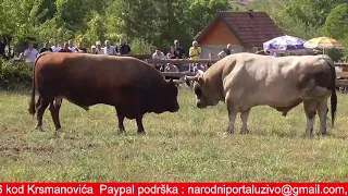 Humanitarno druženje kod Elvira Banovići 2026