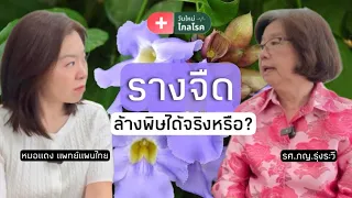 รางจืดมีหลักฐานงานวิจัยรองรับในการรักษาพิษชนิดใดบ้าง