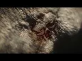 MẮT MÔI TAY CHÂN - MCK ft. TAGE (OFFICIAL MUSIC VIDEO)