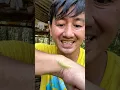 Download Lagu Ulat bulu kwn