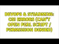 DevOps SysAdmins CGI errors Can t open perl script Permission denied 2 Solutions