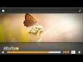 Cocoon StudySync Introduction