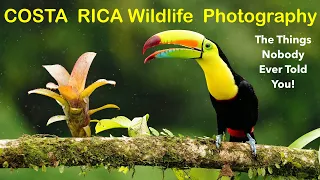 Download COSTA RICA Wildlife Photography - The Things NOBODY Ever Told You! MP3