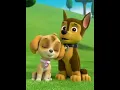 Lagu Who let the dogs 🐶 out?? PAW Patrol
