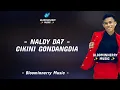 Naldy (Kutai Timur) - Cikini Gondangdia Lirik || Naldy Da7 - Cikini Gondangdia Lirik Lagu