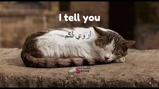 اروي لكم عن قصة للمصطفى                                                                       دندنها