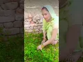 Lagu Jiske sath Khade honge Sina Dan kar Khade honge