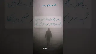 بشیر بدر آنکھوں میں رہا دل میں اتر کر نہیں دیکھا Sadshayari Sad 