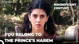 mustafa saved helena magnificent century episode 71