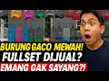 Download Lagu GILA! BURUNG GACORAN MEWAH DIJUAL FULLSET DI PASAR REBO! SERIUSAN GAK RUGI?!