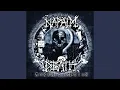 Download Lagu Fatalist