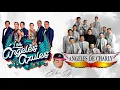 LOS ANGELES DE CHARLY vs LOS ANGELES AZULES - ENGANCHADO 2023 _ tropitango bailable