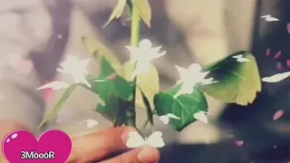 حبيبة قلبي كبرت سنة حالات واتس اب   عيد ميلاد حبيبتي   حرف   دندنها