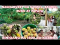 Download Lagu SINIGANG NA ISDA HULI SA PUKOT/MAGHARVEST NG SANTOL, PAPAYA, SAGING AT BUKO