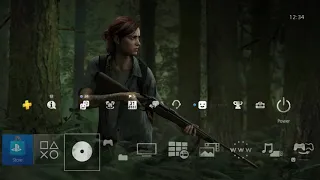 PlayStation 4 The Last Of Us Part II Ellie Theme 