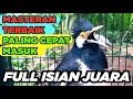 Lagu Burung Jalak Suren Gacor Full Isian Tembakan Mewah Cililin Suara Unik Kreasi
