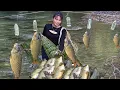 Download Lagu Simple way to catch fish from bamboo traps, Harvest a lot of giant fish to sell