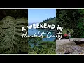 A Weekend in Humboldt Fern Canyon Trinidad Elk Prairie The Front Porch Inn more