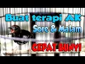 Download Lagu PAS BANGET BUAT TERAPI ANIS KEMBANG MACET