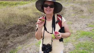 Sailing Leopard 50 Catamaran; Does New Zealand food and wine really live up to the hype?…Ep22