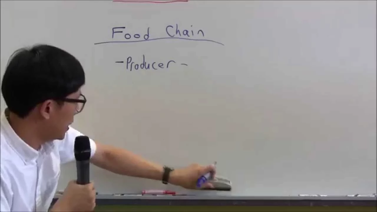 Food Chain