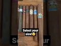 Download Lagu mini vs. GIANT Cigar size comparison #shorts #cigar #cohiba #Smoking #cuba #zigarre #size #gigante