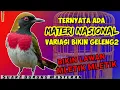 Download Lagu VARIASINYA BIKIN GELENG2!! MASTERAN BURUNG LOMBA Tembakan RAPAT - INI YANG BIKIN LAWAN MLETIK