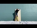 Medium Build - Rabbit (Official Video)