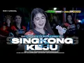 Download Lagu DJ SINGKONG DAN KEJU PARTY KARNAVAL TERBARU STYLE  NROTOK X MBEDIL  NULUP POLL
