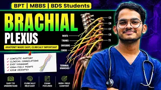 brachial plexus simplified dr mohammed taha zeal academy