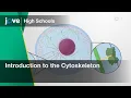 Introduction to the Cytoskeleton Cell Bio Textbooks -