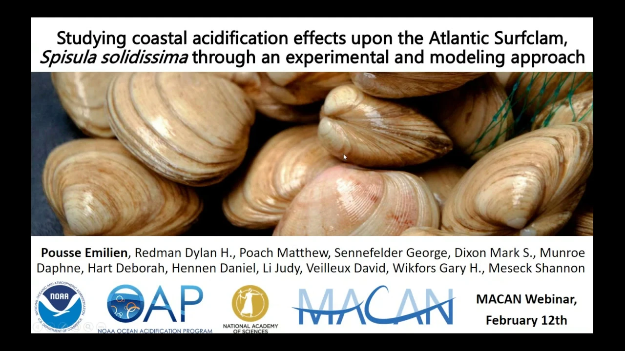 Webinar: Acidification Effects upon the Atlantic Surfclam