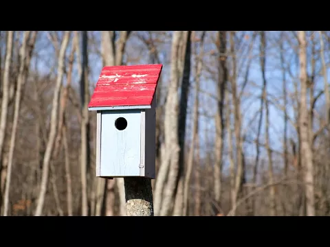 Fuji X-E3 4K autofocus test