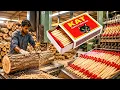 How Millions of Matchsticks Are Made Inside a Modern Match Factory